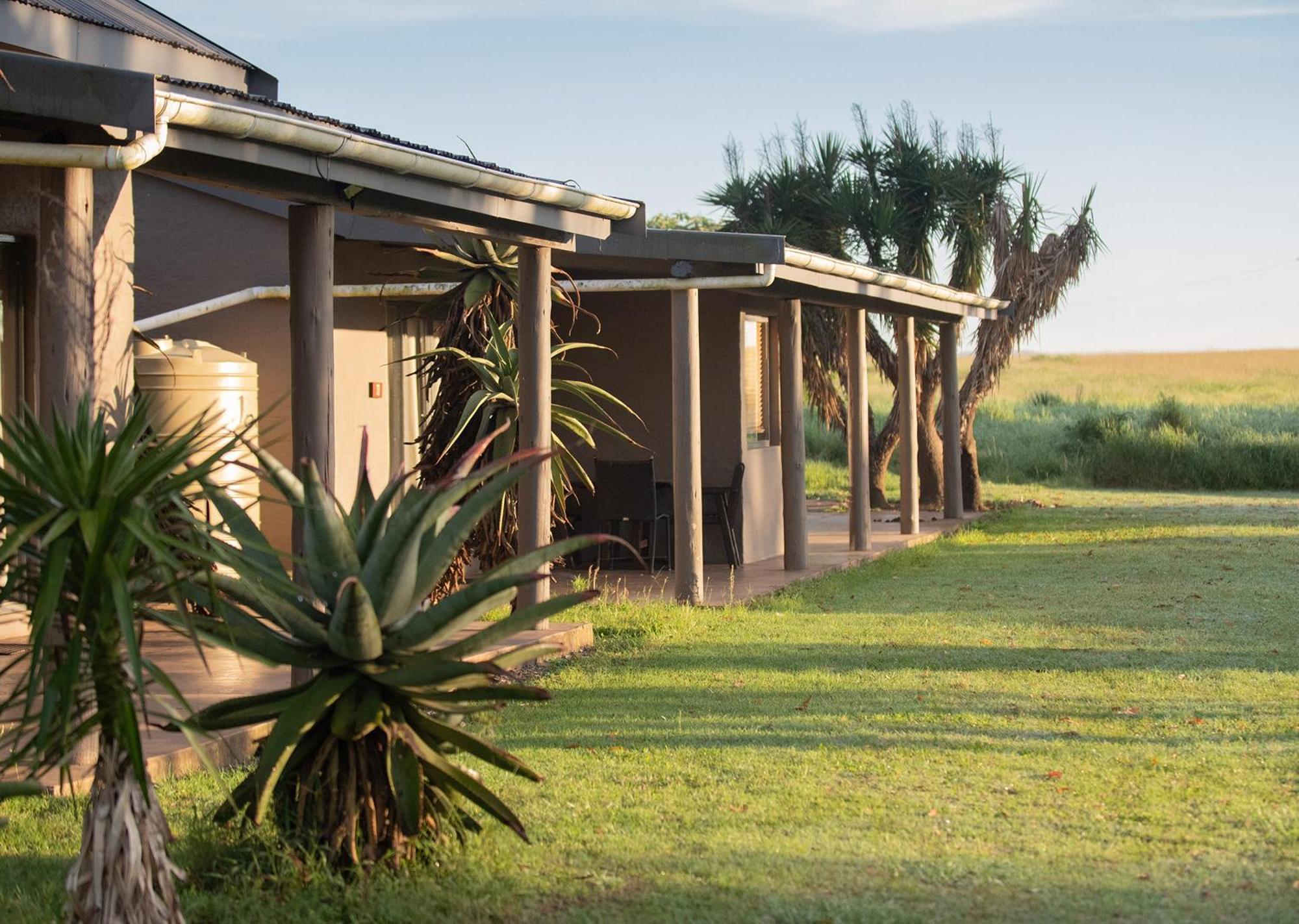 Tala Collection Game Reserve Silverton Extérieur photo
